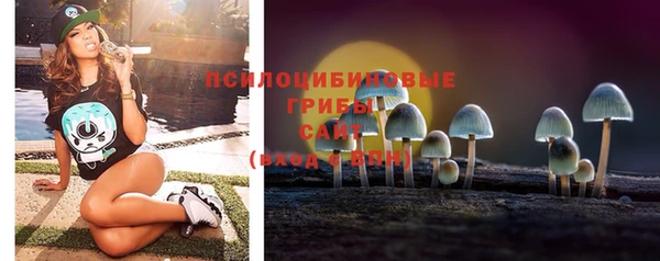 мет Белокуриха