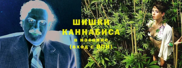 дживик Баксан