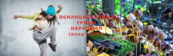мет Белокуриха