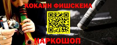 гашик Моздок