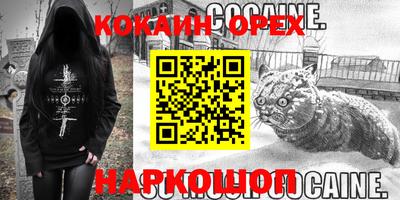 гашик Моздок