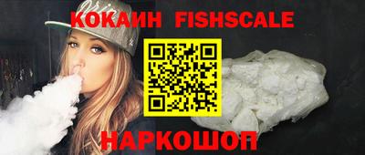 гашик Моздок