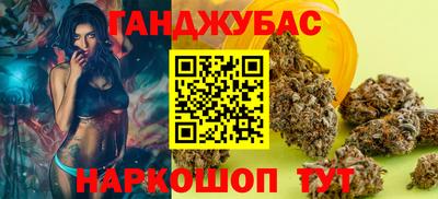 гашик Моздок
