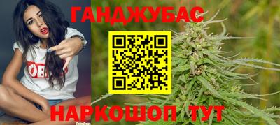гашик Моздок