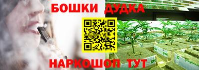 гашик Моздок