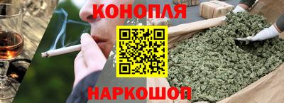 гашик Моздок