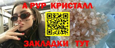 гашик Моздок
