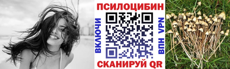 купить закладку  МЕГА tor  Галлюциногенные грибы Cubensis  Вятские Поляны 