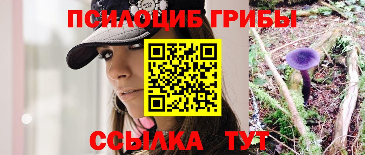 Вятские Поляны  Галлюциногенные грибы Psilocybe  где можно купить наркотик  Вход с VPN  Галлюциногенные грибы ЛСД 